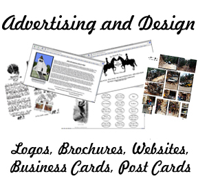 Advertising and
                  Design - Logos, Websites, Brochures, Business Cards,
                  Post Cards, etc.